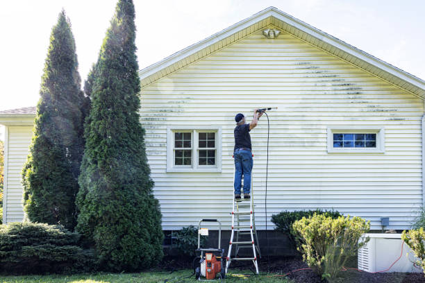 Best Dumpster Area Cleaning  in Morgantown, PA